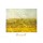Vincent van Gogh, The wheat field
