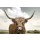 Andre Eichman, On the Ranch IV