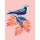 Omar Escalante, Exotic Birds III