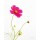 Debra van Swearingen, Magenta Cosmos I