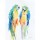 Aimee del Valle, Colorful Parrots I