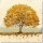 James Wiens, Golden Oak