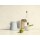 Willem de Bont, Two Pears, Bottle, Can and Jug